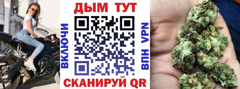 магазин    Белый  Каннабис гибрид 